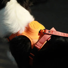 Geschirr mit integrierter Leine