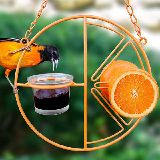 2-in-1-Vogelfutterspender zum Aufhängen