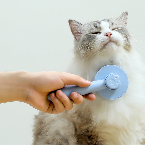 Katzenpflegebürste