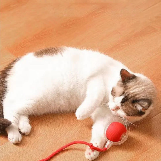 Intelligenter Interaktiver Katzenball