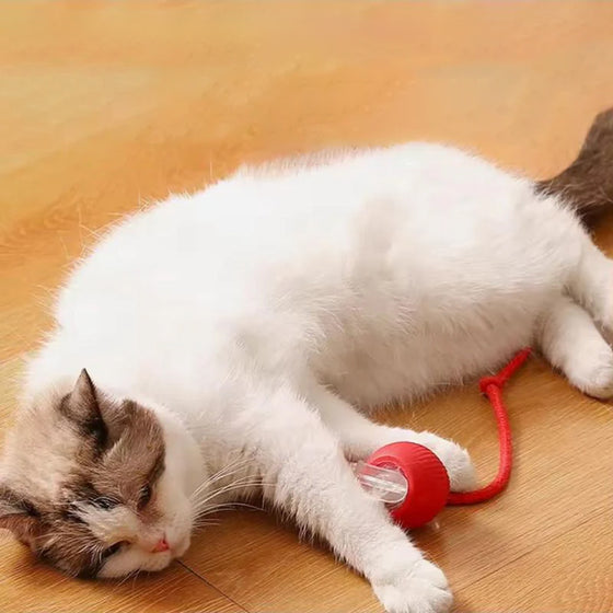Intelligenter Interaktiver Katzenball
