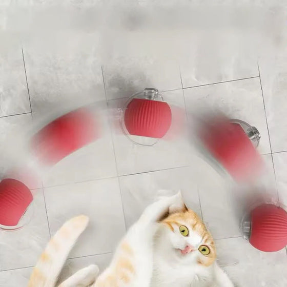 Intelligenter Interaktiver Katzenball