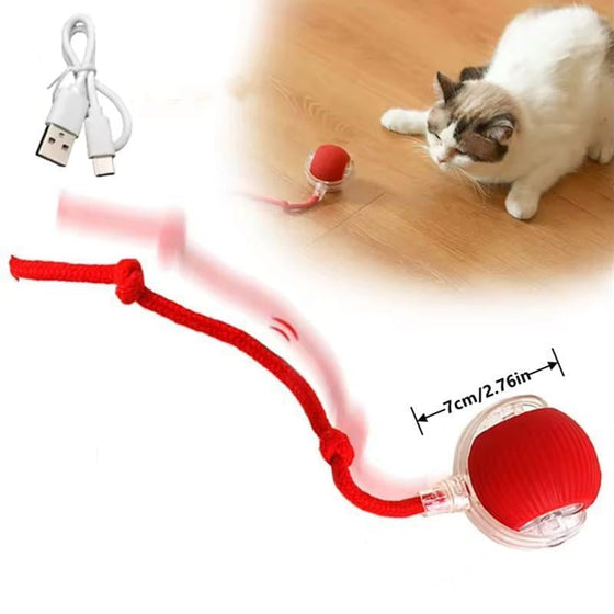Intelligenter Interaktiver Katzenball