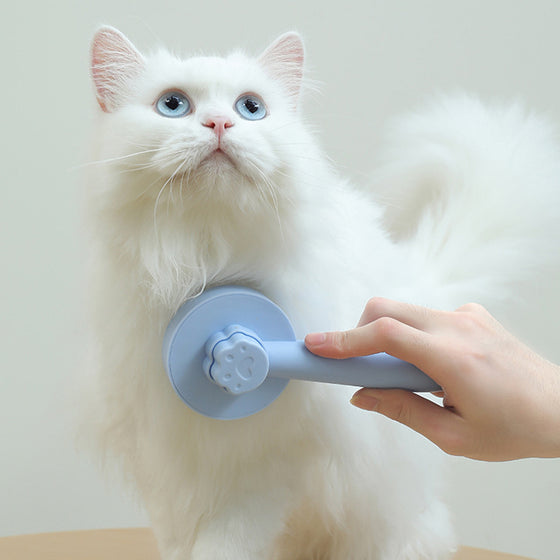 Katzenpflegebürste