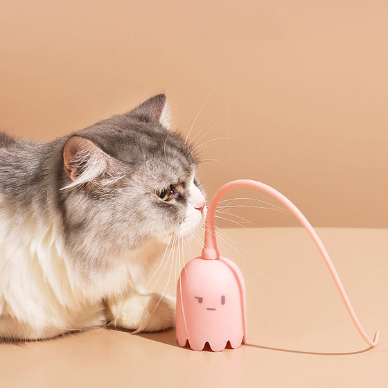 Katzenspielzeug für den Innenbereich