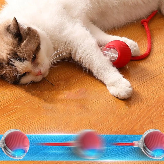 Intelligenter Interaktiver Katzenball