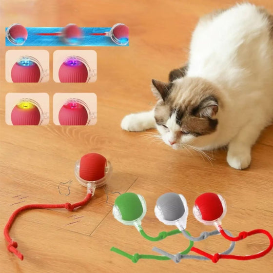 Intelligenter Interaktiver Katzenball