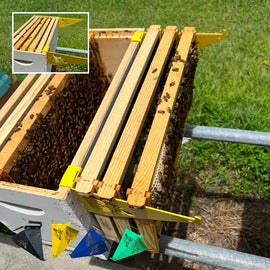 Praktische Bienenstock-Inspektionshalterung