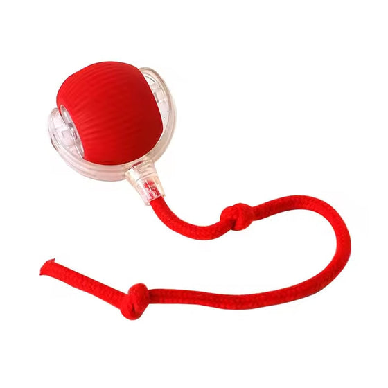 Intelligenter Interaktiver Katzenball