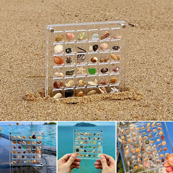 Magnetisches Acryl-Display für Muscheln