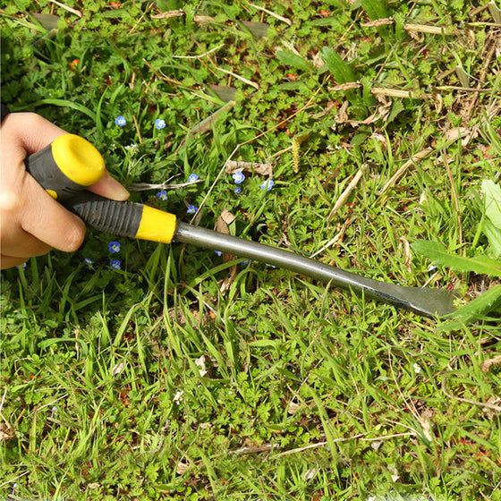 Garten-Unkraut-Pflanzwerkzeuge