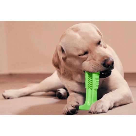 Zahnbürste für Hunde