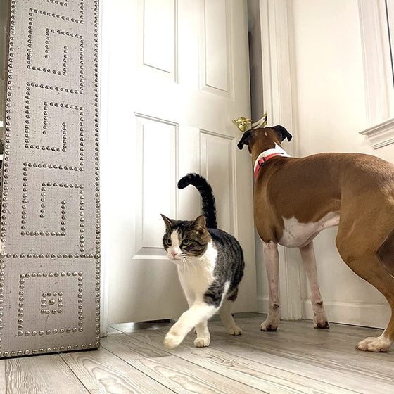 Katzen-Türhalter