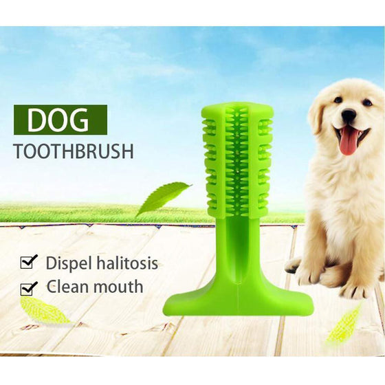 Zahnbürste für Hunde