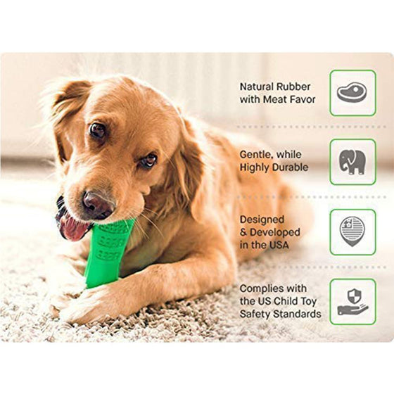 Zahnbürste für Hunde