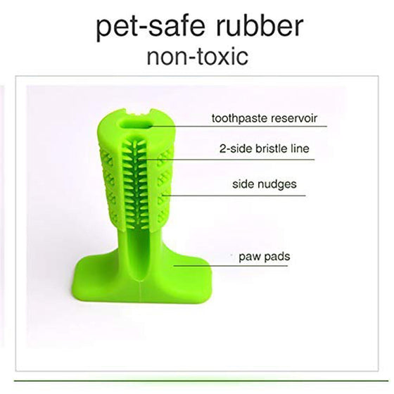 Zahnbürste für Hunde