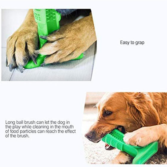 Zahnbürste für Hunde