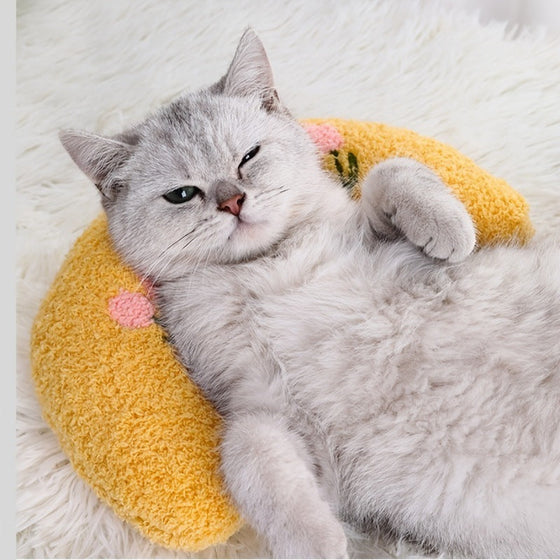 Katze Schönes gemütliches Kissen