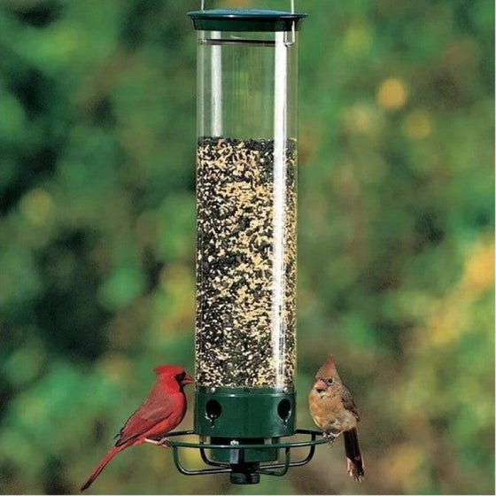 Eichhörnchensicherer Vogelhäuschen