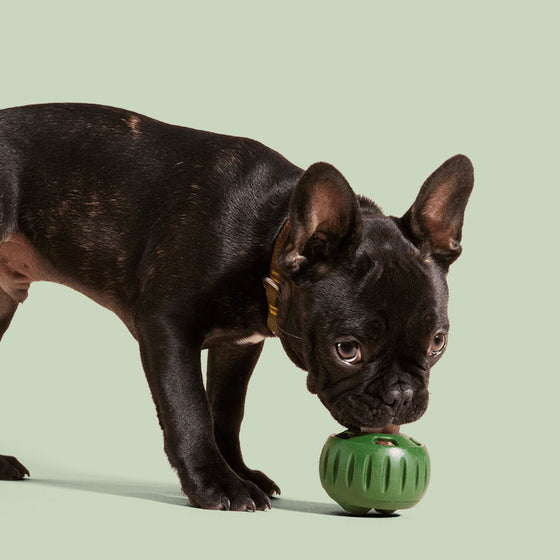 Ausstopfbares Slow-Food-Spielzeug für Hunde