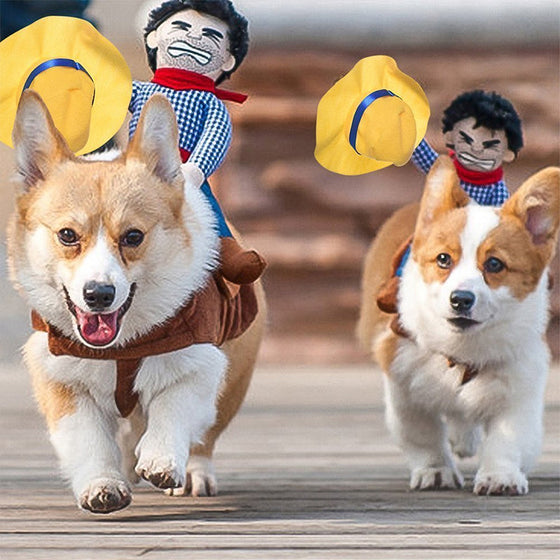 Hundekostüm - Cowboyreiter