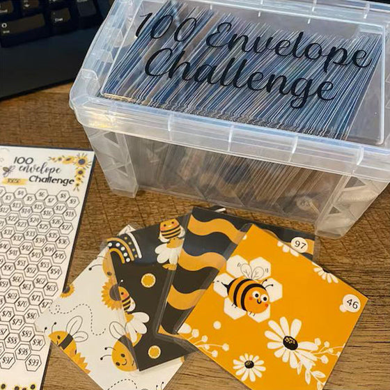 100-Umschläge-Challenge-Box-Set