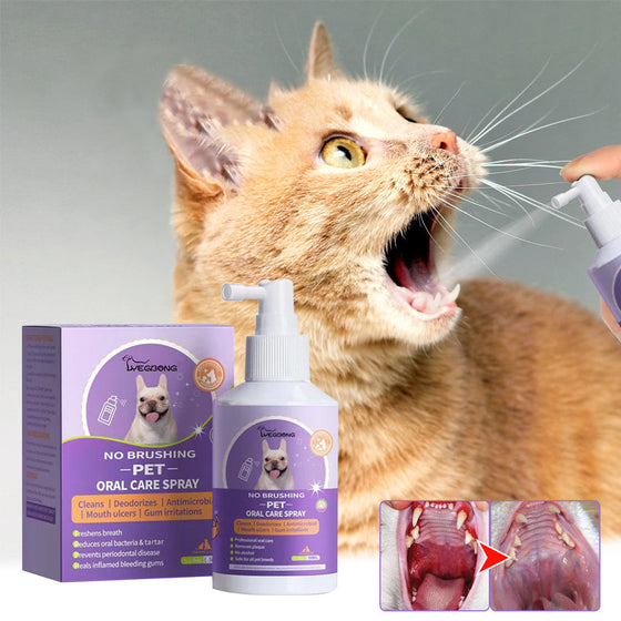 Hunde- und Katzenzahnreinigungsspray