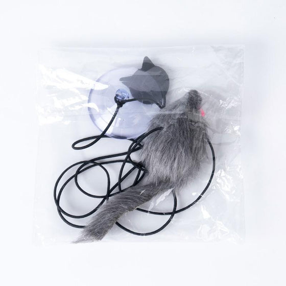 Hängendes Katzenspielzeug