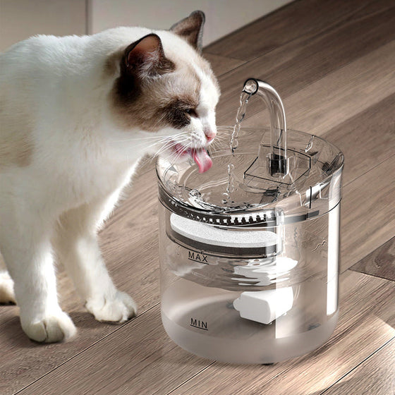Trinkbrunnen für Katzen und Hunde