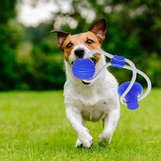 Multifunction Pet Molar Bite Toy