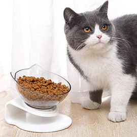 Anti-Erbrechen-Katzennapf