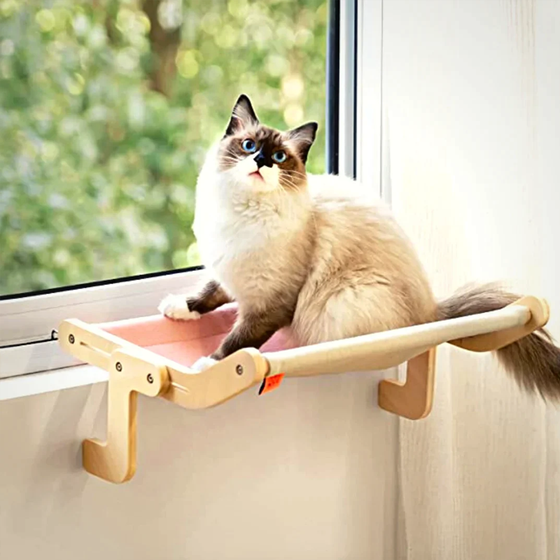 Hängendes Katzenbett am Fenster