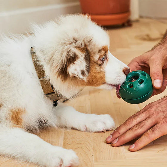 Ausstopfbares Slow-Food-Spielzeug für Hunde