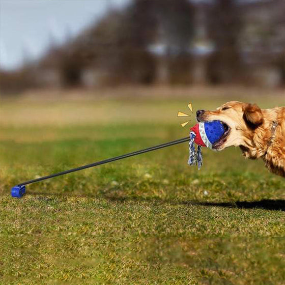 Seilball für Haustiere im Freien