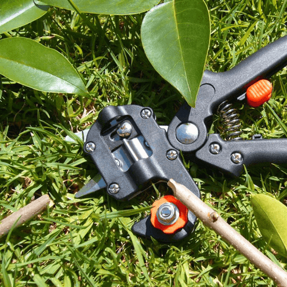 Professionelles Garten-Pfropfwerkzeug-Set