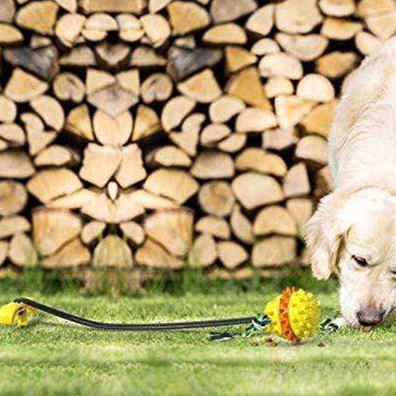 Seilball für Haustiere im Freien