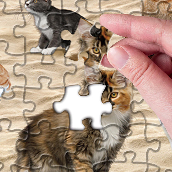 Strandkackendes Katzenpuzzle 1000 Teile