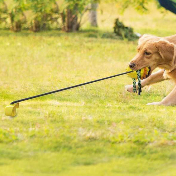 Seilball für Haustiere im Freien