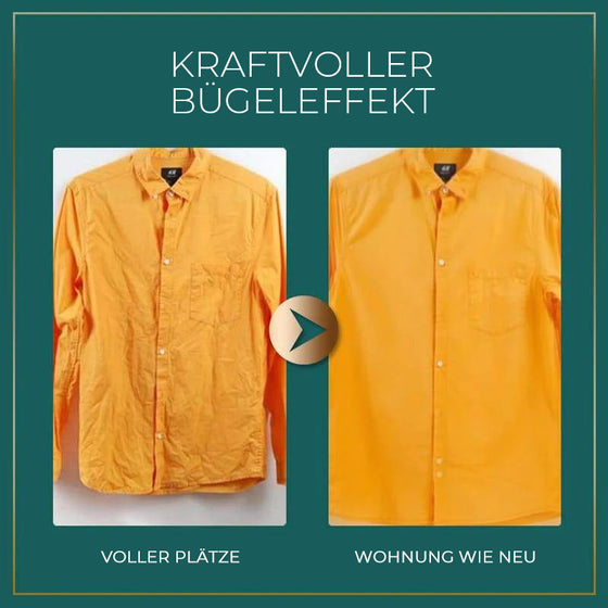 Professionelles Mikro-Dampfbügeleisen
