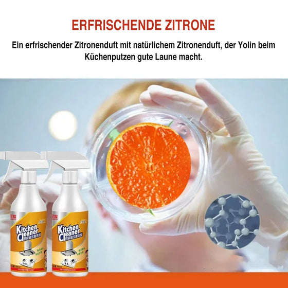 Schaumreiniger für die Küche（500ml）