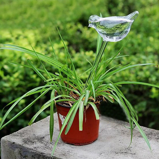 Bewässerungsgerät aus Glas
