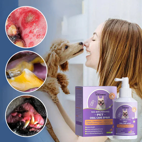 Hunde- und Katzenzahnreinigungsspray
