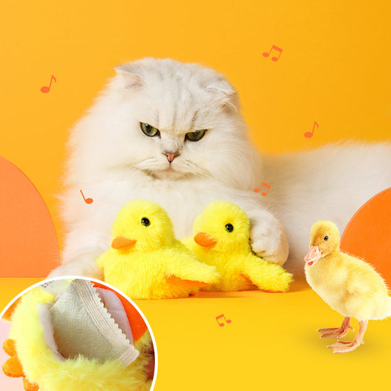 Gelbes Entenspielzeug für Katze