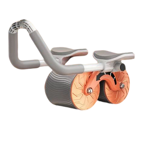 Kerntrainer Plank Roller